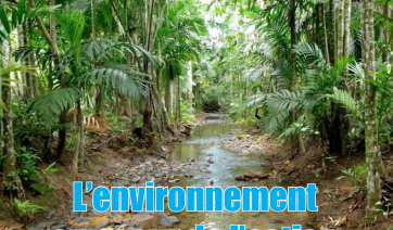 L’environnement au cœur de l’action du Département