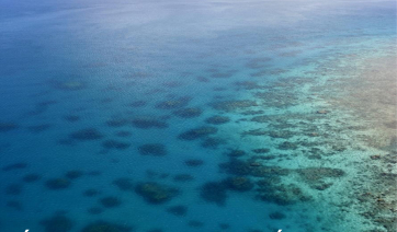 Élaboration de la stratégie de développement de l’économie bleue de Mayotte
